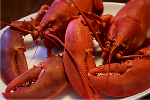 New-Hampshire-Lobsters-Fresh-and-Local.p